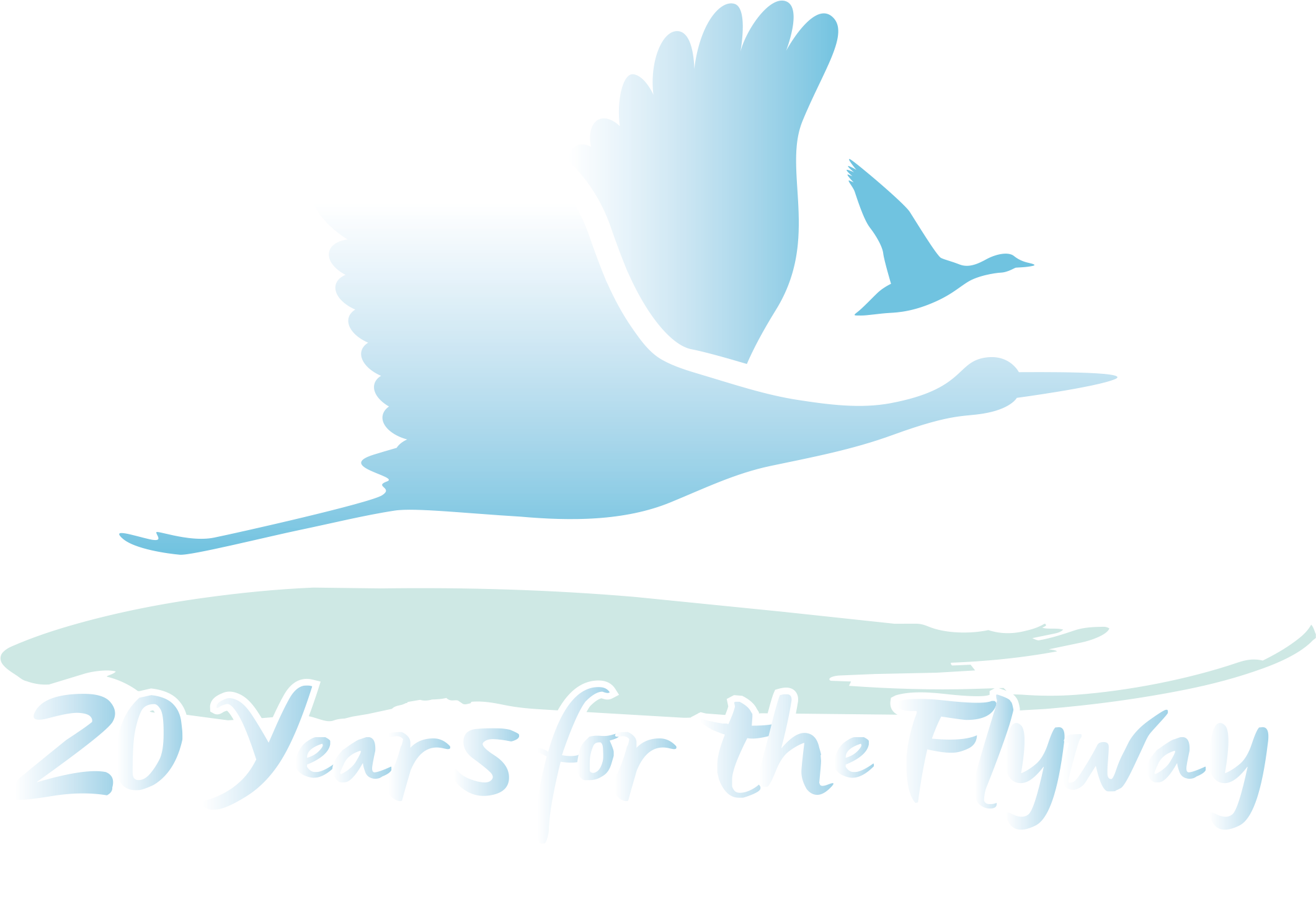 20 Years for the Flyway